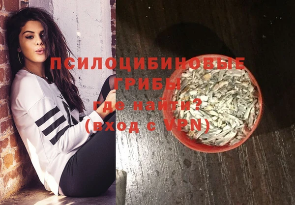 спиды Покачи