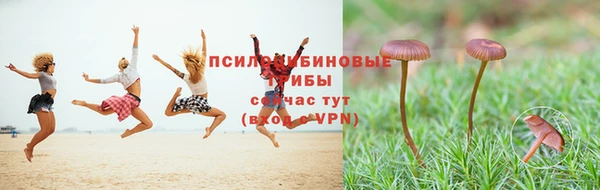 не бодяженный Протвино