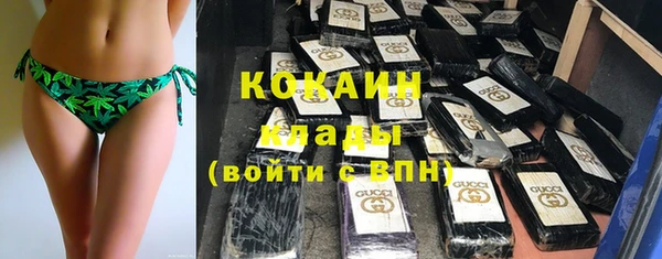 твердый Тында