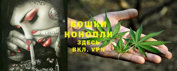 спиды Покачи