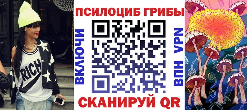 где можно купить   Агрыз  Галлюциногенные грибы Psilocybe 